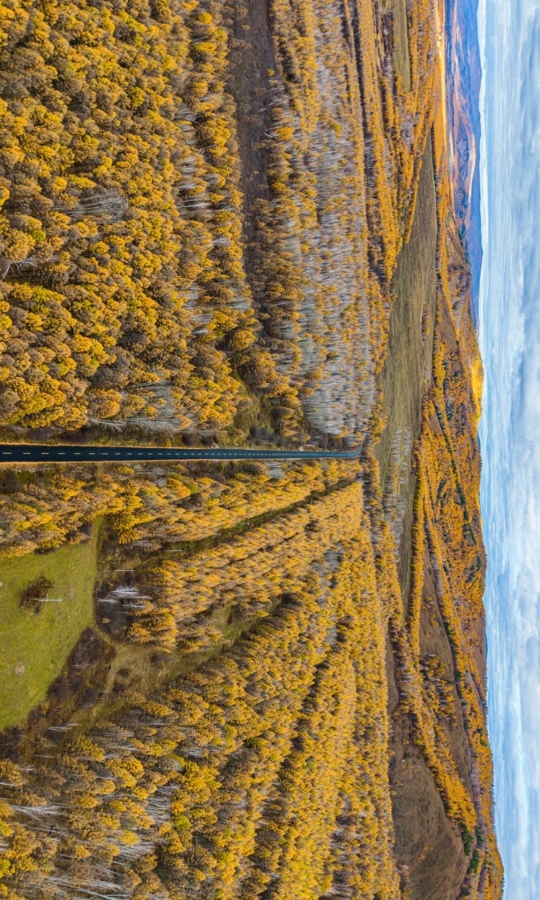 根白线—满足了我对大兴安岭秋景的全部想象_12_棱角分明的木子_大兴安岭-来自52tours 我爱旅游网
